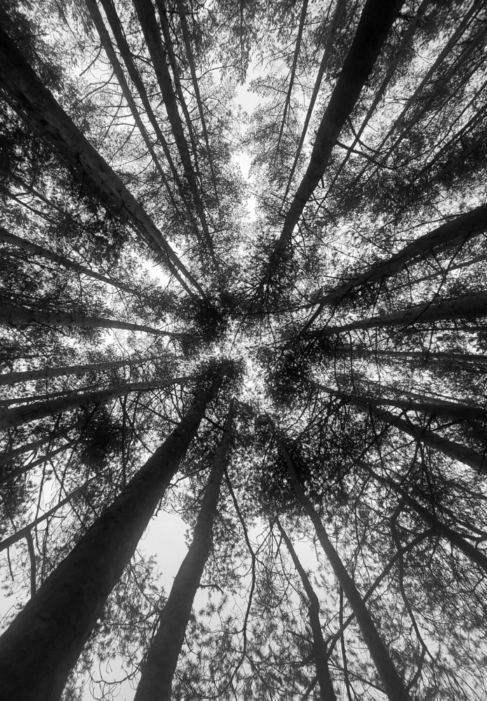 Photograph by Елена Кирикова