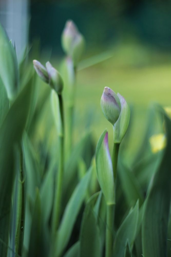 Photograph by Антон Иванов