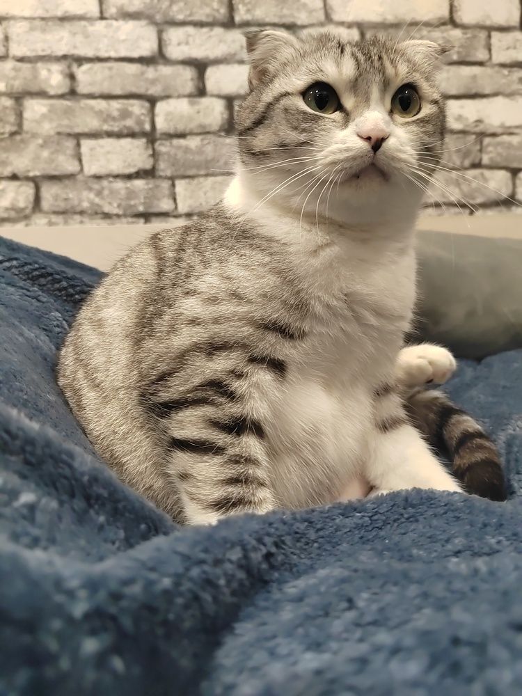 Photograph by Наталья Сидорова