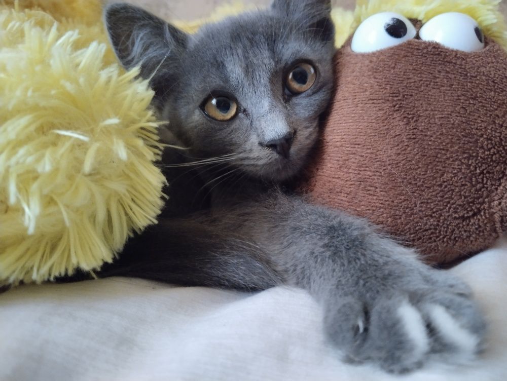 Photograph by Татьяна Стаскевич