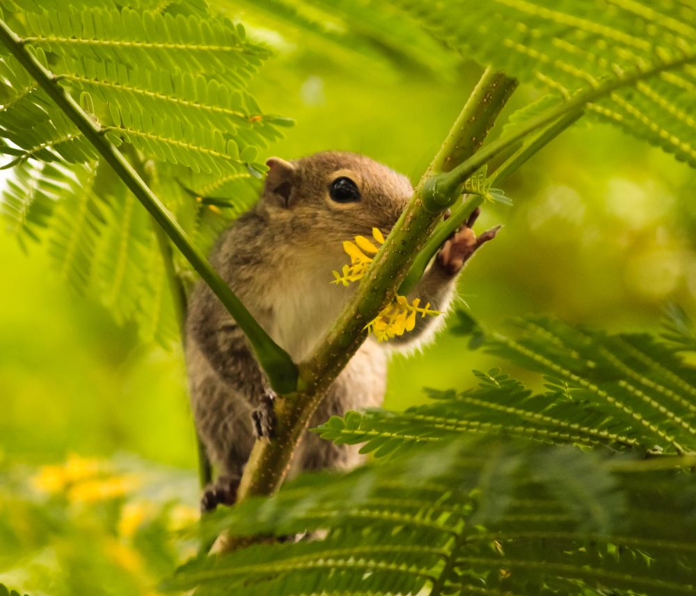 Photograph by Kapilesh Gujarathi