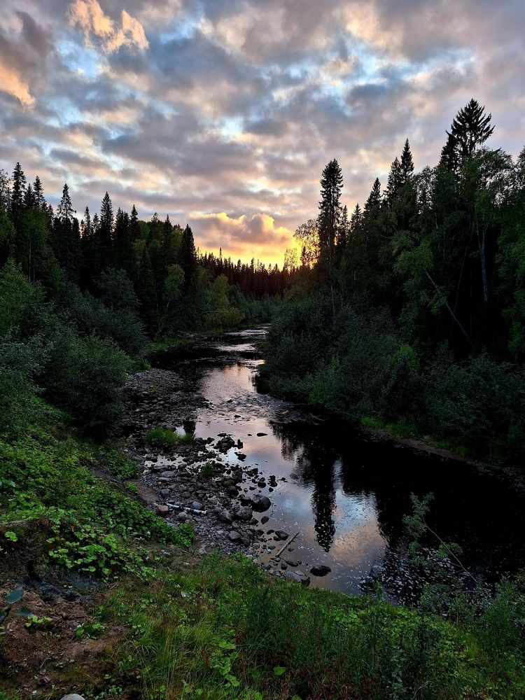 Photograph by Елена Петрова