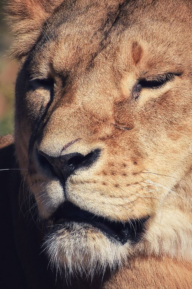 Photograph by Юлия Гайдукевич