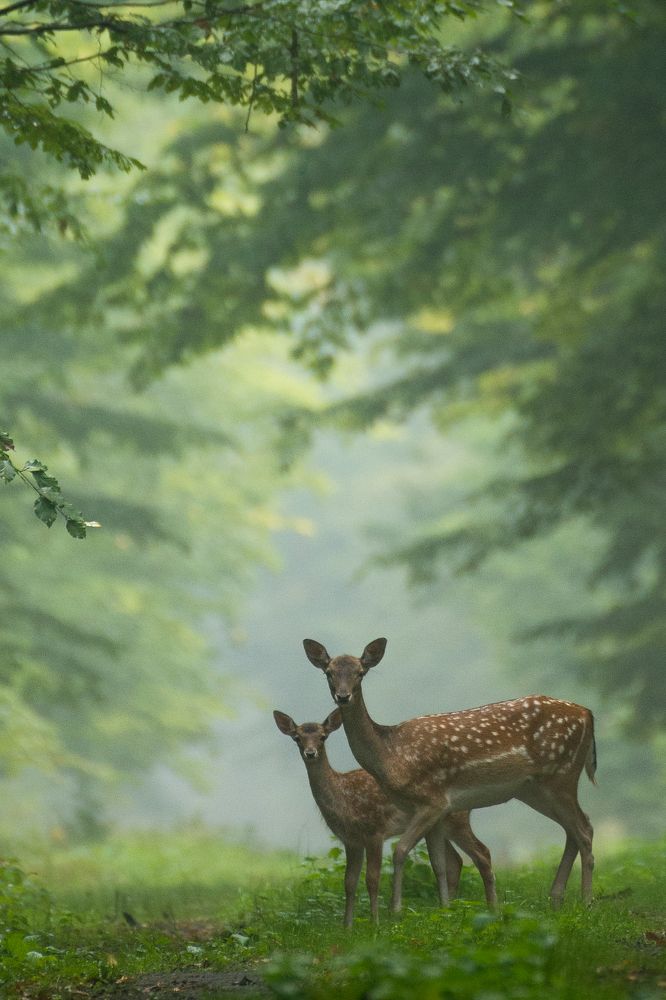 Photograph by Krzysztof Bozalek