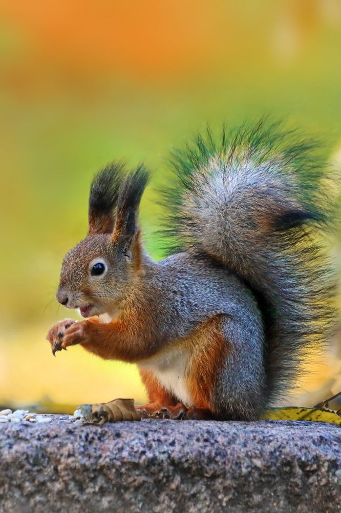 Photograph by Татьяна Бравая