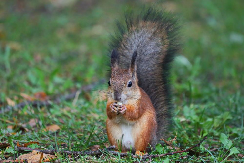 Photograph by Татьяна Бравая