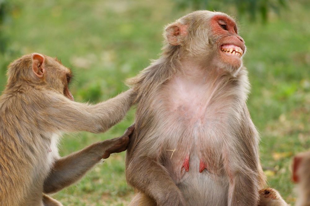 Photograph by tarun singh