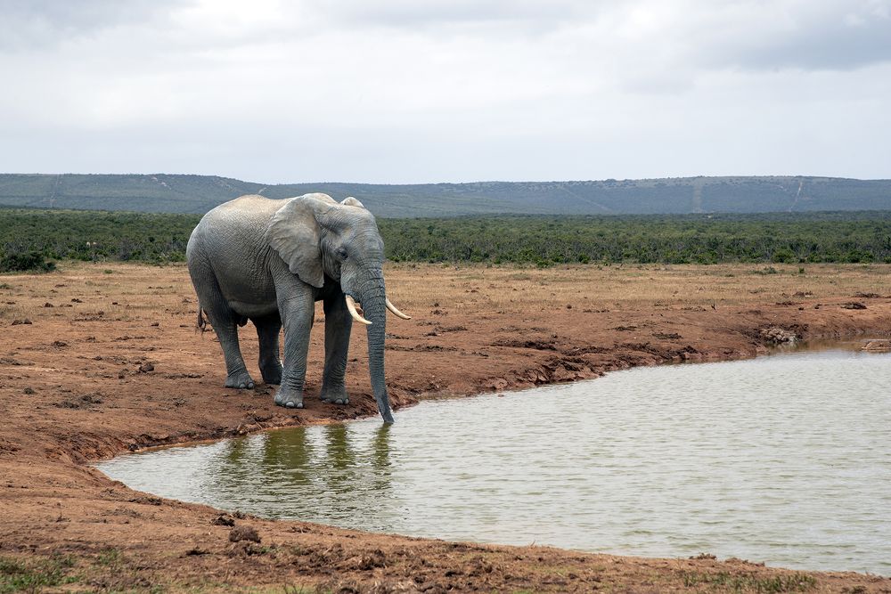 Photograph by Jacky Weckx