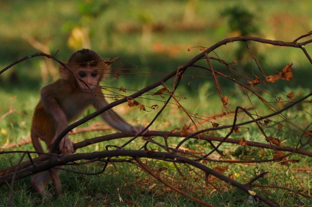 Photograph by tarun singh