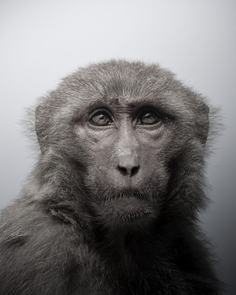 Photograph by Susanjit Saha