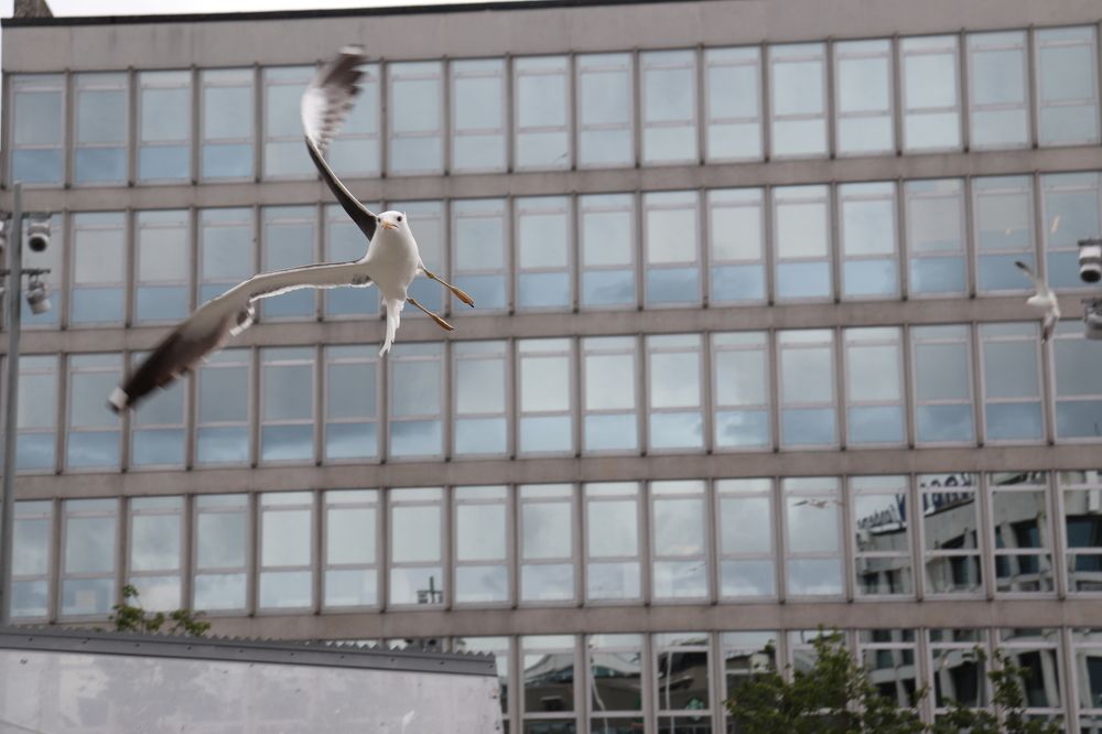 Photograph by Mykhailo Makarov