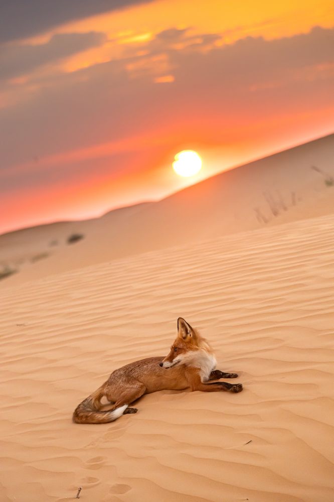 Photograph by Юлия Шурандина