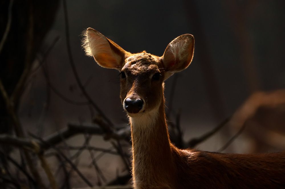 Photograph by tarun singh