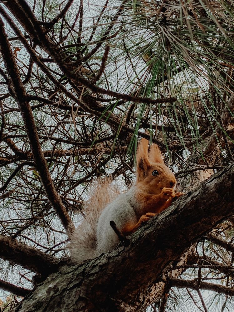 Photograph by Оксана Михайлова