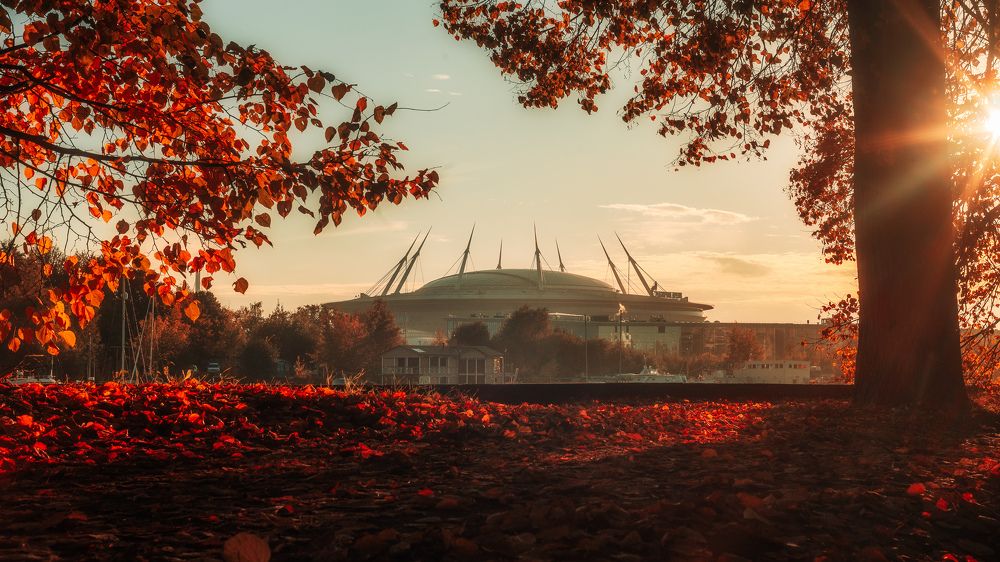 Фотография автора Вадим Поспелов