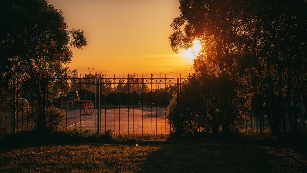 Фотография автора Вадим Поспелов