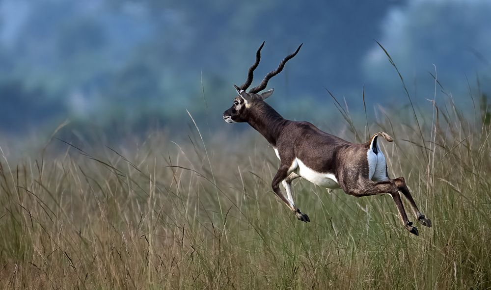 Photograph by SUDIP ROY