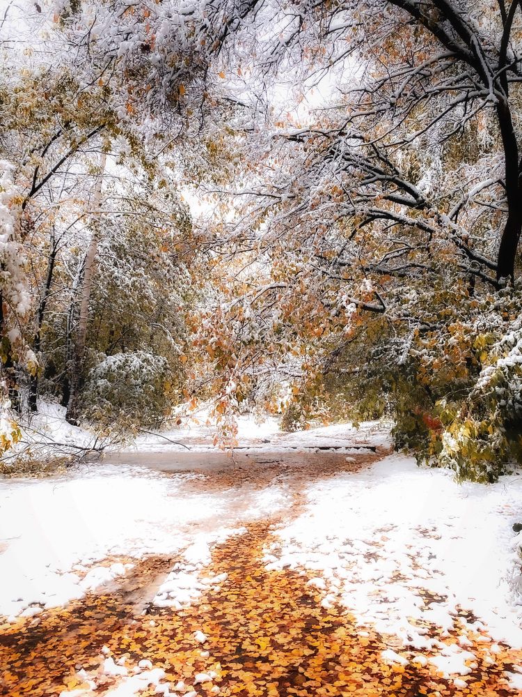 Photograph by Юлия Субботина