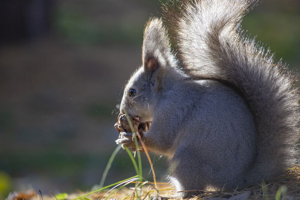 Photograph by Anton Gaev