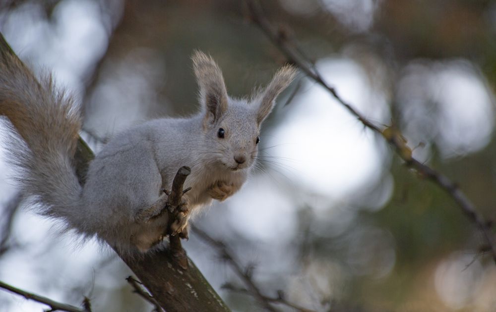 Photograph by Anton Gaev