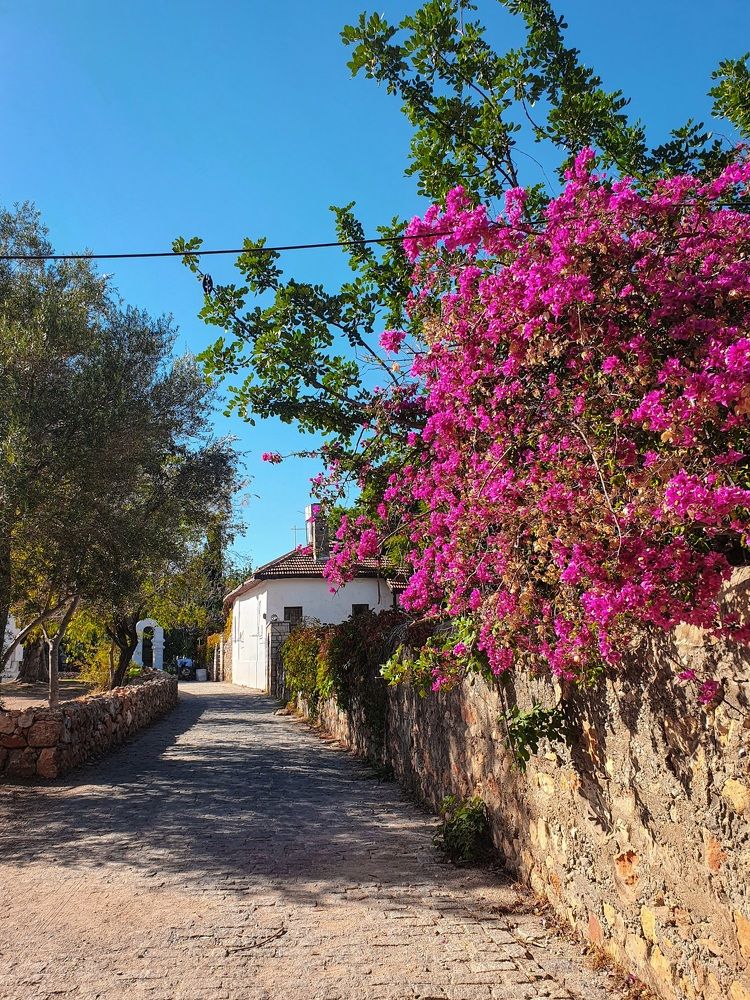 Photograph by Марина Маркина