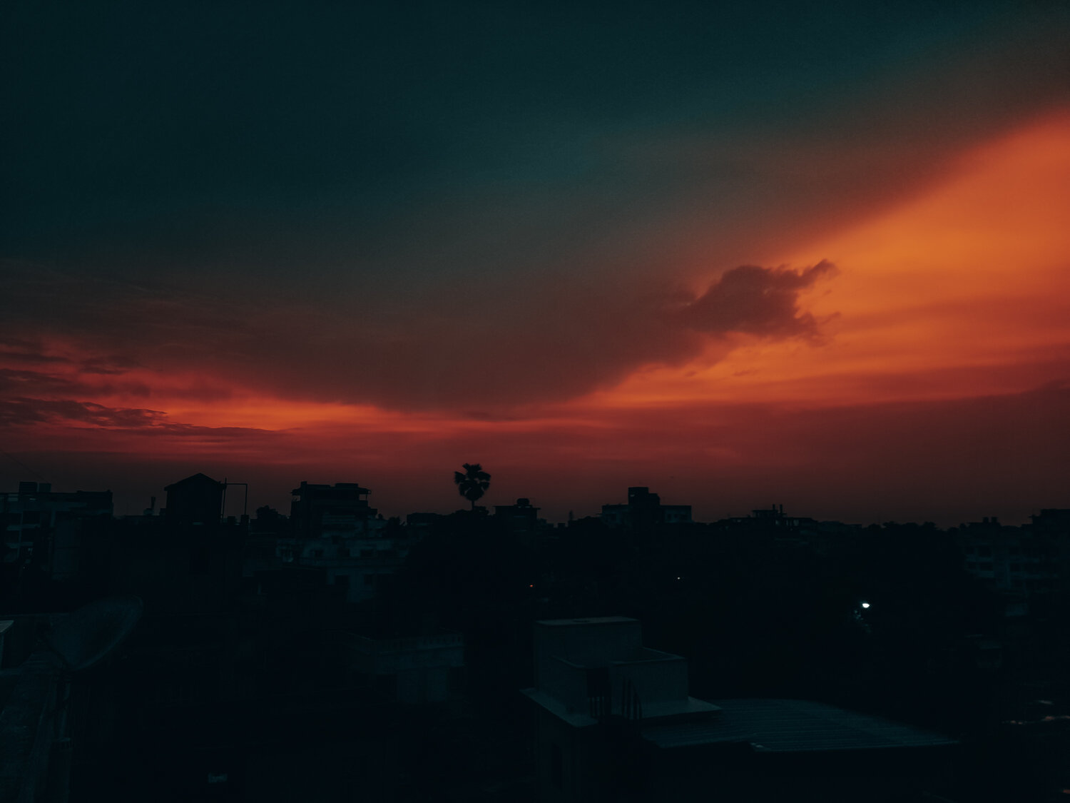 Photo #9834099