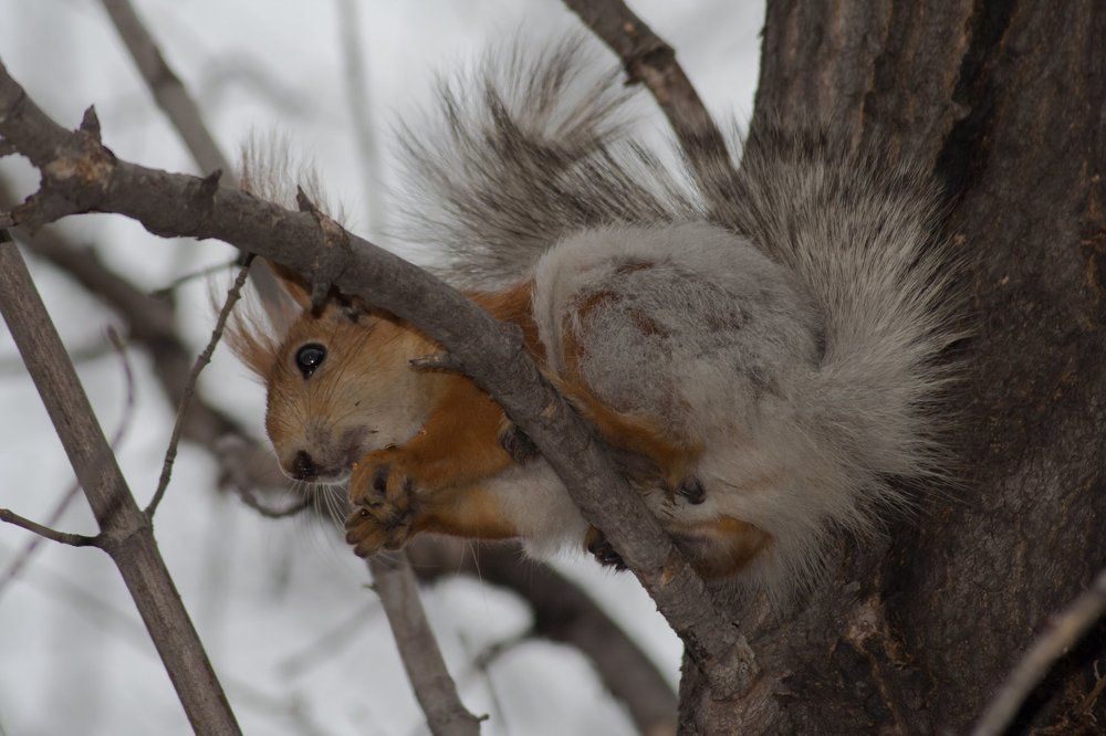 Photograph by Панюшкин Андрей