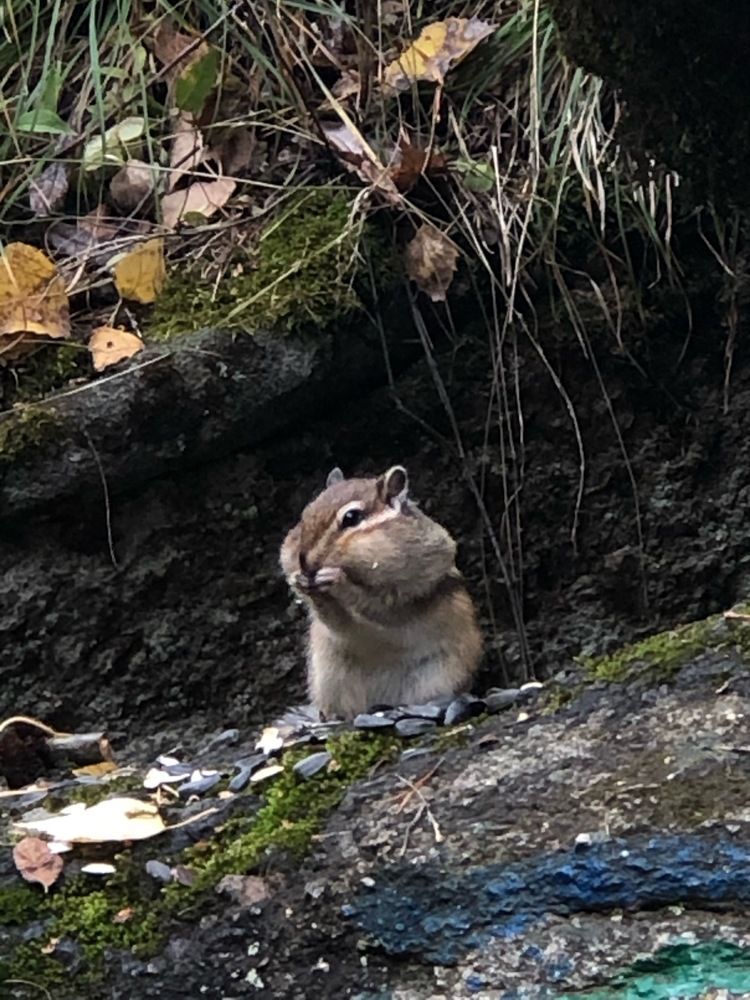 Photograph by Svetlana Tolkunova