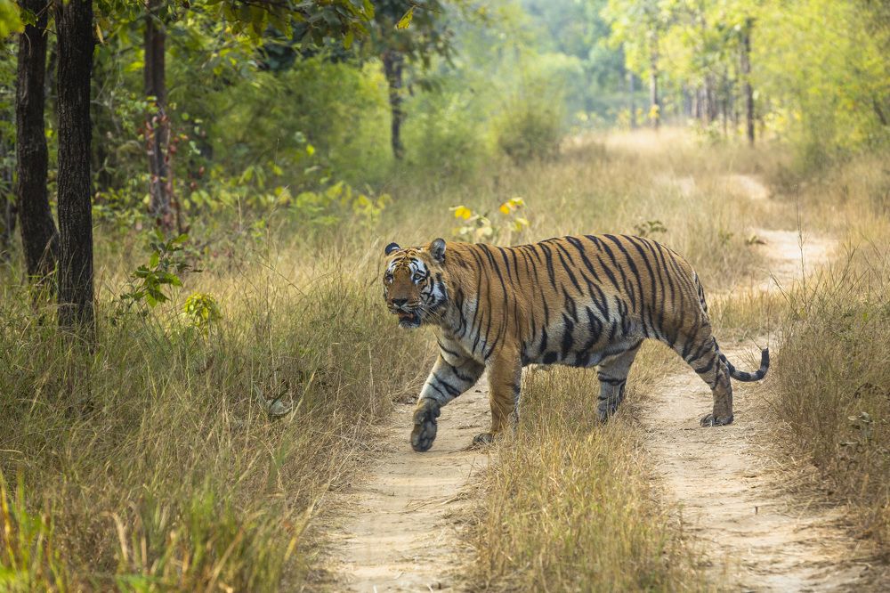 Photograph by Dhananjay Jadhav