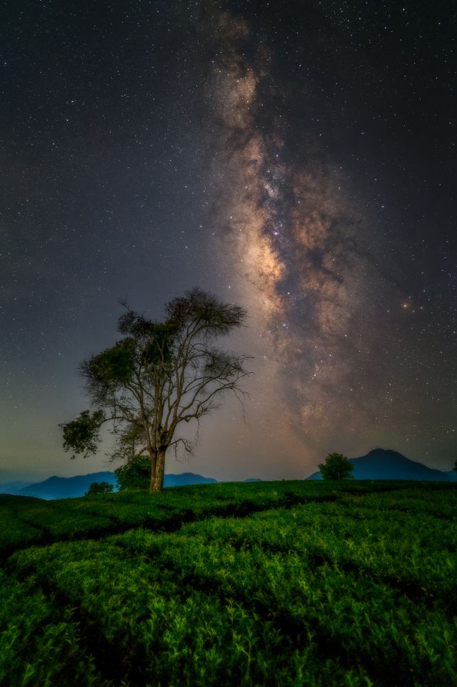 Photograph by Duy Chris