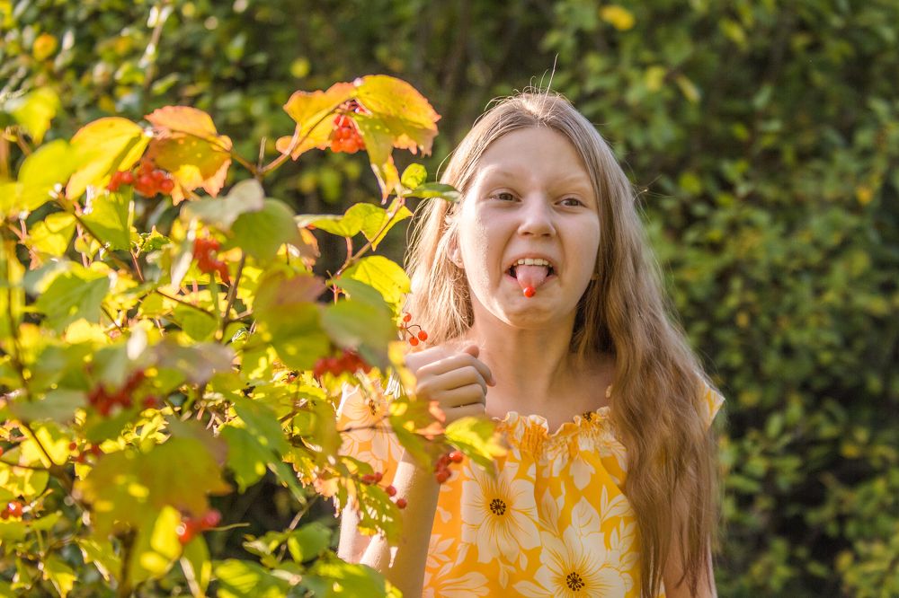 Горькая ягода