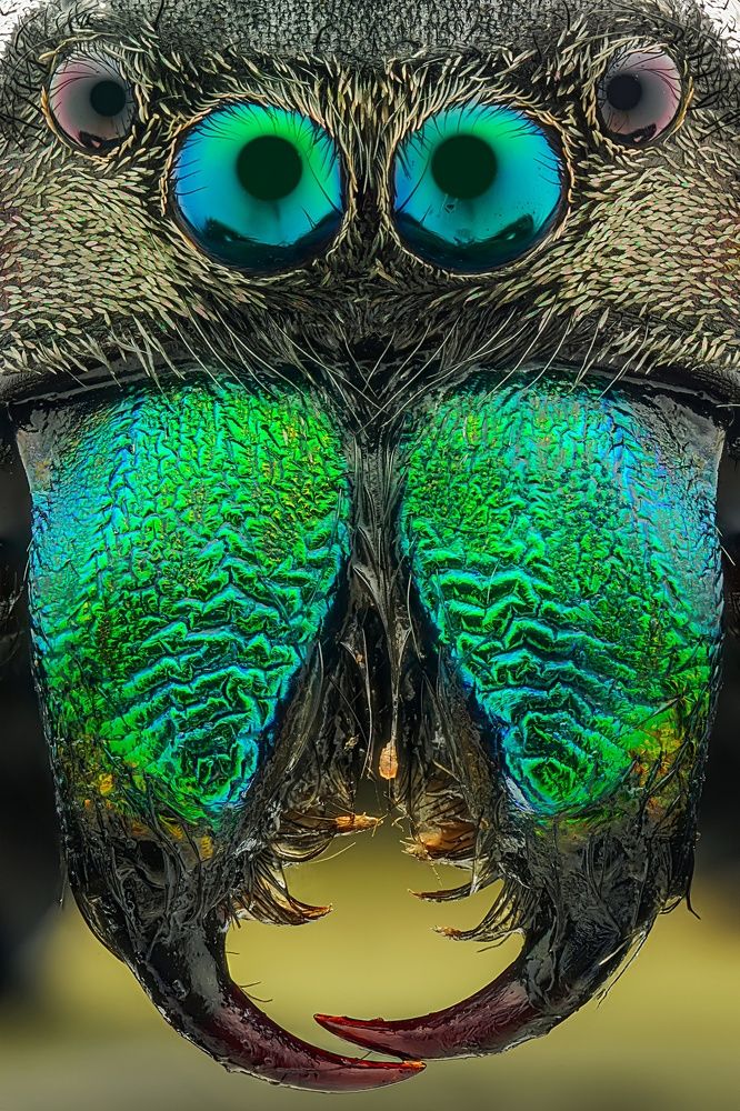 Photograph by Tran The Ngoc