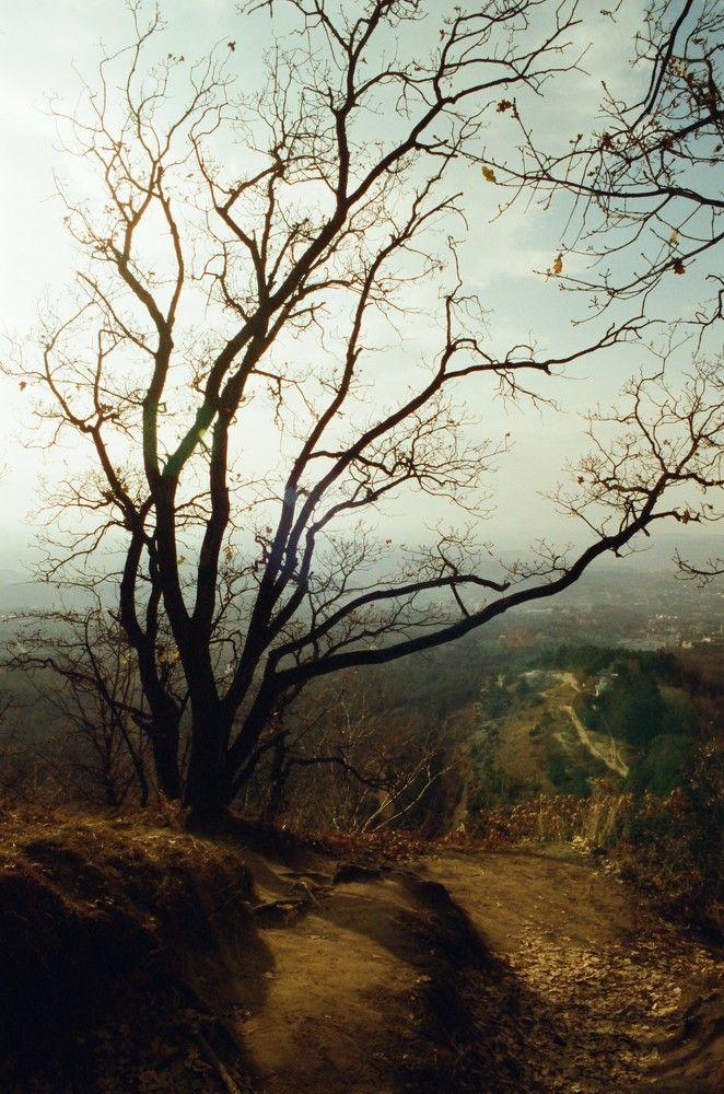 Photograph by Василий Селиванов