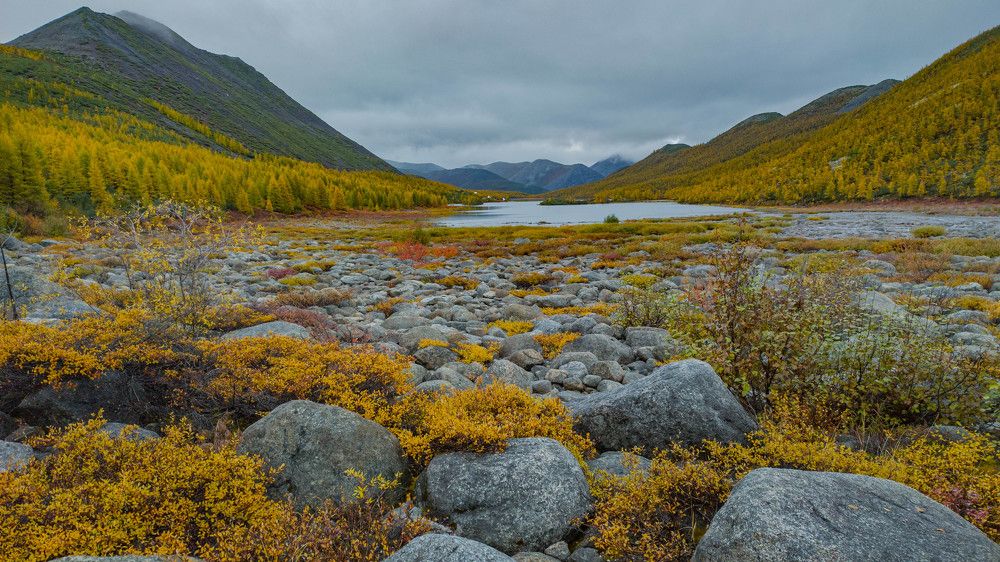Фотография автора Александр Довганюк