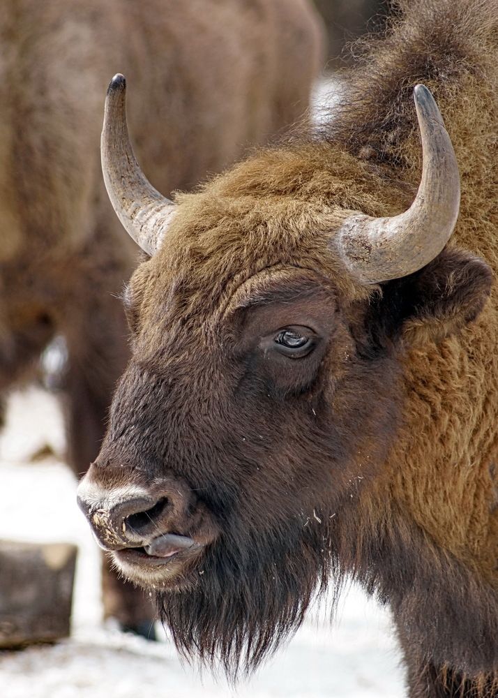 Photograph by Жиляев Евгений