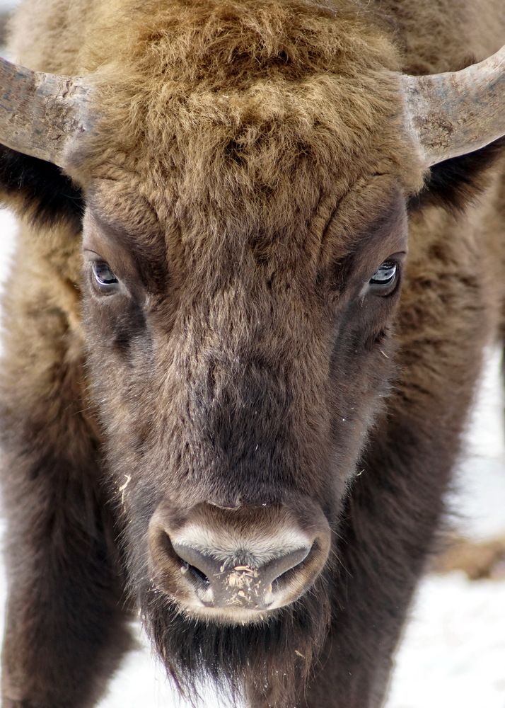 Photograph by Жиляев Евгений