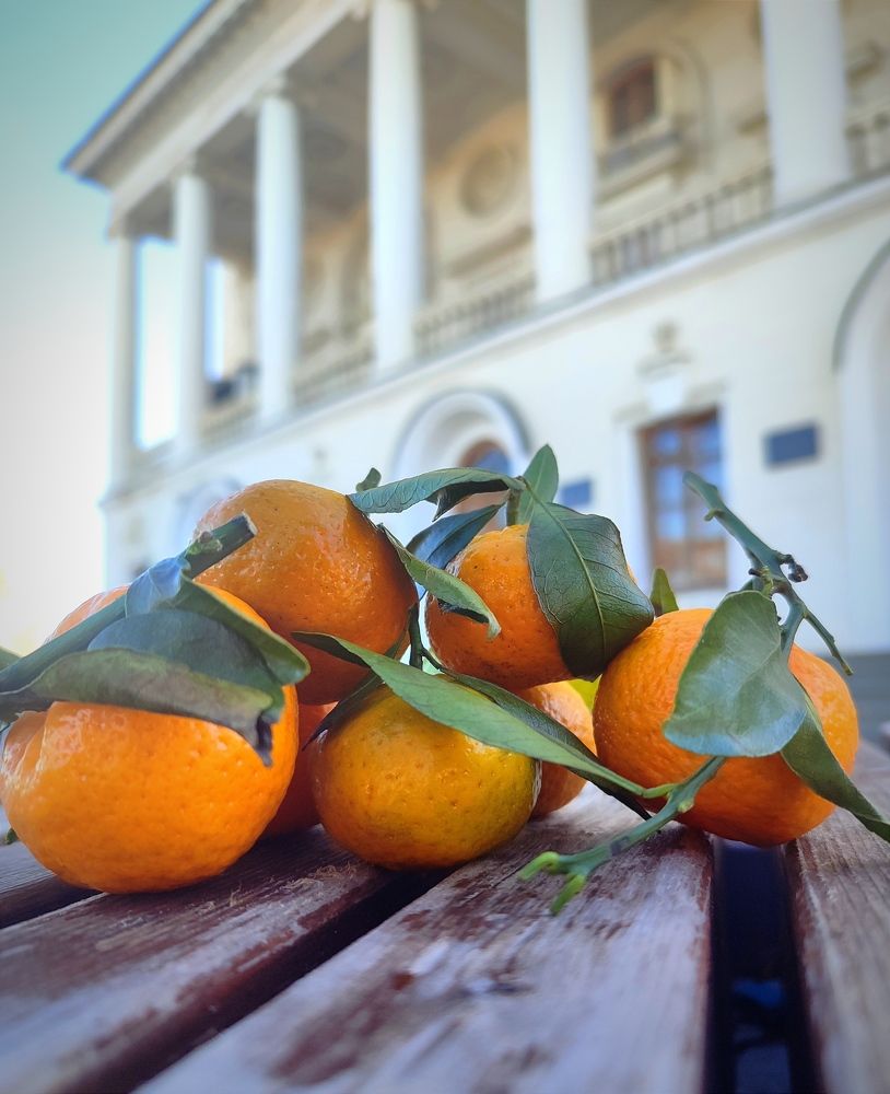 Photograph by Александра Терентьева