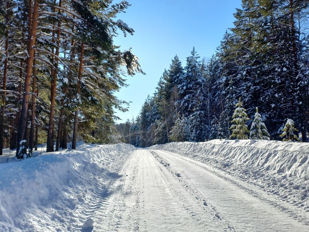 Photograph by Сауия Назмутдинова