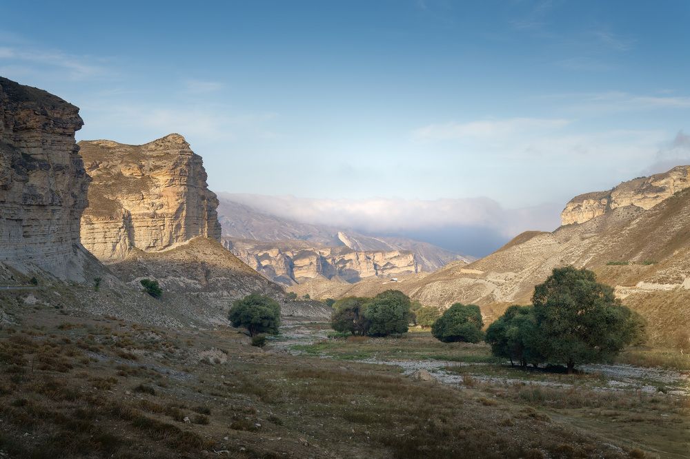 Photograph by Григорий Шалик