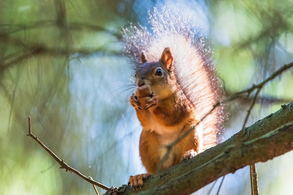 Photograph by Виктор Евстратов