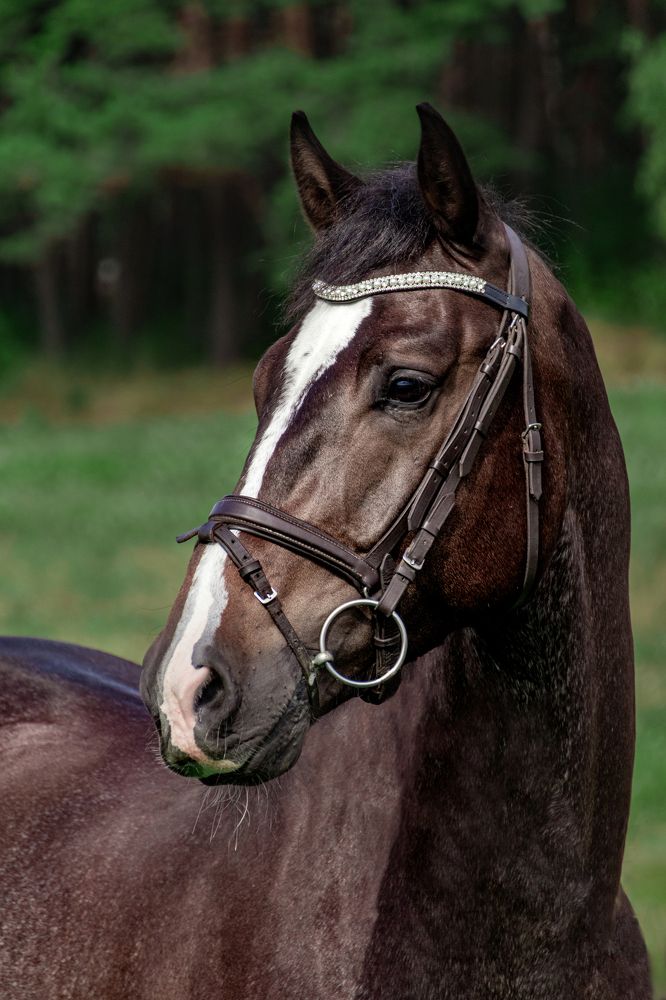 Photograph by Анастасия Лученок