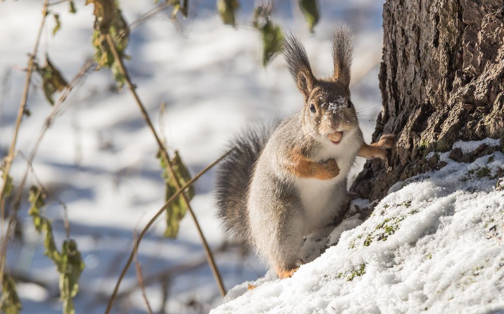 Photograph by Виктор Евстратов