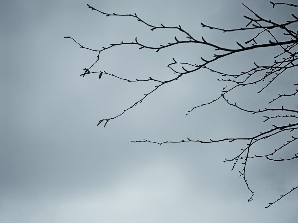 Photograph by Ilyas Adilbayev