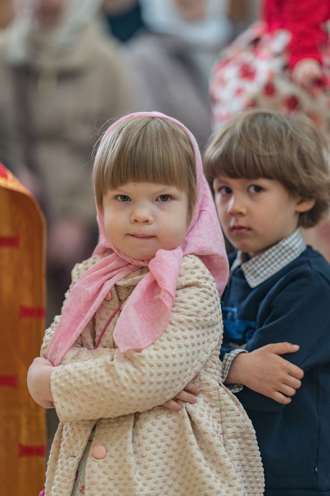 Photograph by Алексей Видинеев