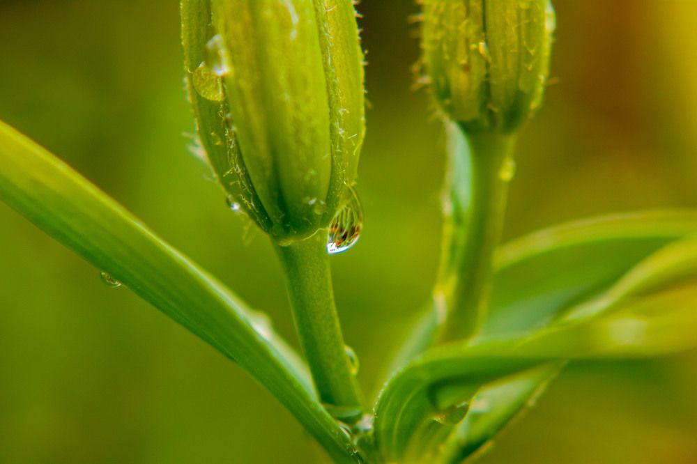 Photograph by Igor Medvedev
