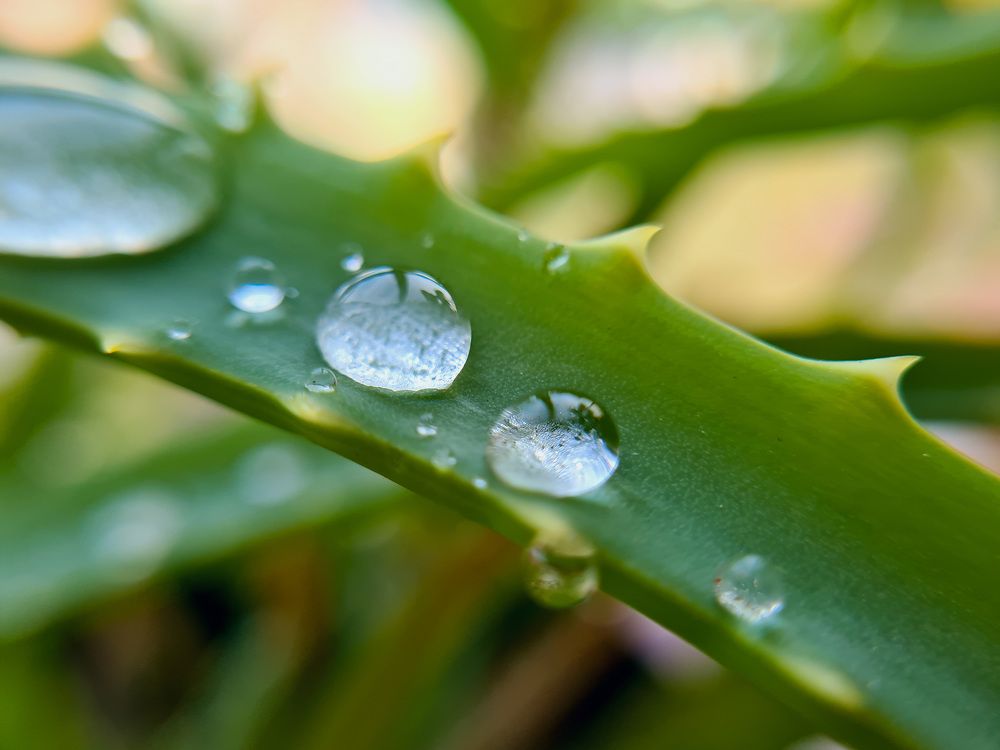 Photograph by Igor Medvedev