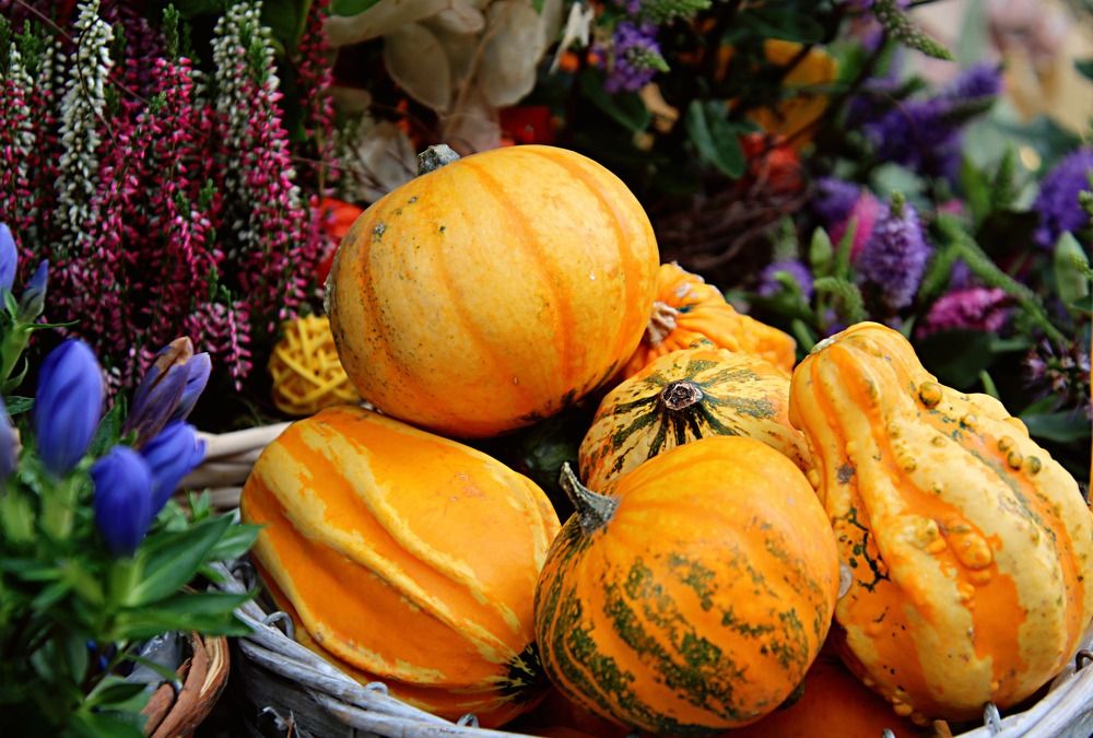 Photograph by Irina Radzinskaya