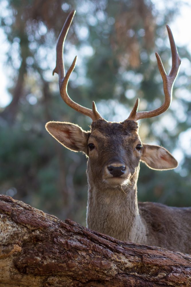 Photograph by Olga Min