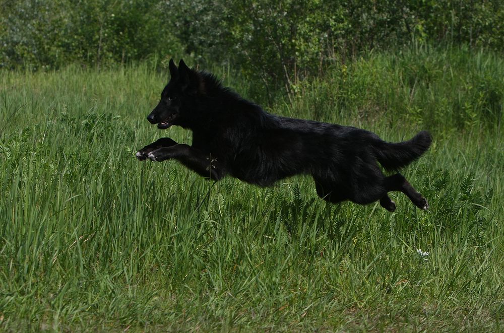 Фотография автора Надежда Лисицына