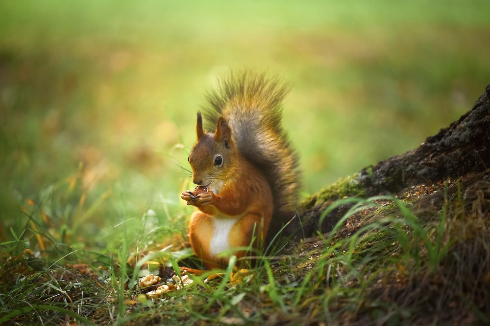 Photograph by Виктория Кос